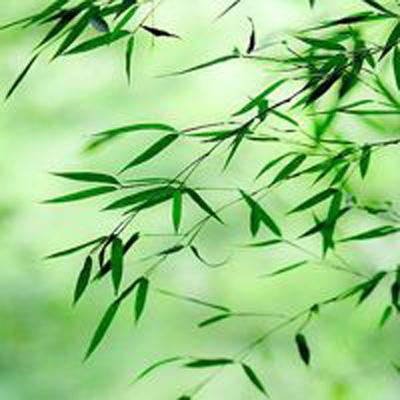 谋定天下手游下载